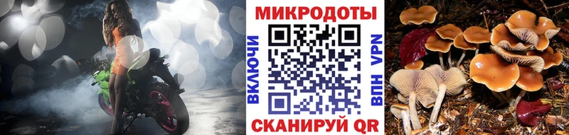Галлюциногенные грибы Cubensis  маркетплейс наркотические препараты  Боготол 